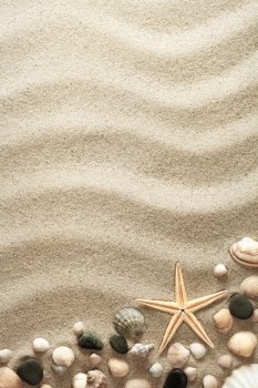Sandy background with shells and starfish. Summertime concept. Top view