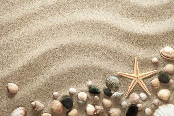 Sandy beach background with shells and starfish. Vacation concept. Top view