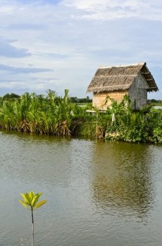 Nipa palm hut