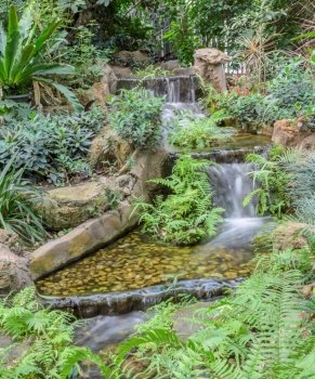 Cascading waterfall among tropical green foliage garden