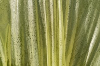 Detail of a plastic greenhouse.