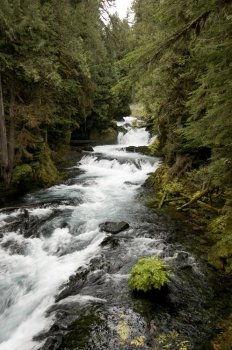 beautiful section of the McKenzie River, central Oregon