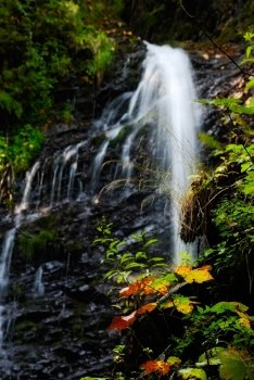 small waterfall in the Carpathian mountains. Guk