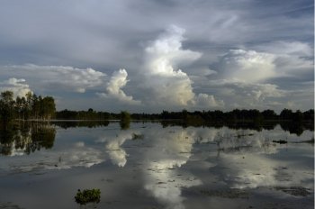 a smal Lake in the provinz of Ubon Rachathani in the Region of Isan in Northeast Thailand in Thailand.
