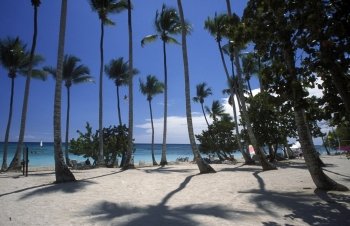 a Beach at the Village of  Bavaro in the Dominican Republic in the Caribbean Sea in Latin America.. AMERICA CARIBIAN SEA DONINICAN REPUBLIC