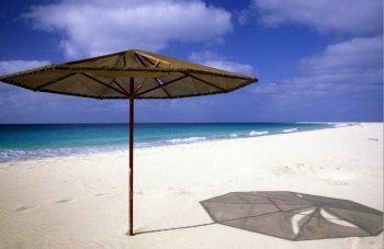 the Beach of Santa Maria on the Island of Sal on Cape Verde in the Atlantic Ocean in Africa.. AFRICA CAPE VERDE SAL