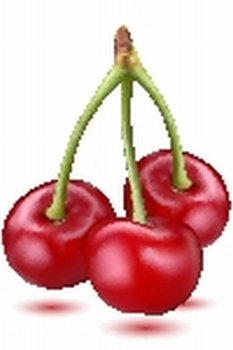 illustration of fresh cherry on white background