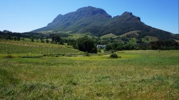 Mountains in Stellenbosch wine region, outside of Cape Town, South Africa