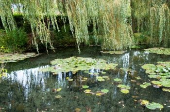 Claude Monet’s garden and pond in Giverny France