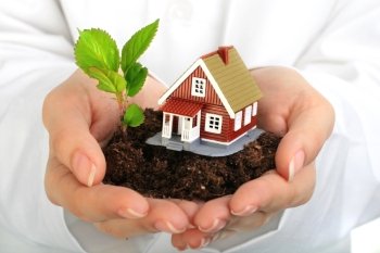 Small house and plant in hands. Isolated over white.