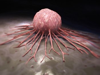 Close-up view of a cancer cell
