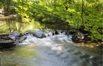 running water in the river semois in belgium  nature