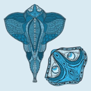 vector hand drawn blue ramp fish, head magnified