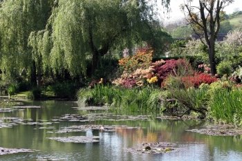 Pond in blossomed garden