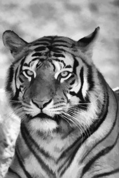 Vector Portrait of Tigers Face in Black and White