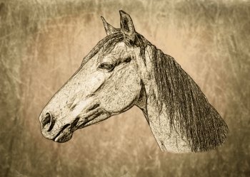 Sepia Toned Horse Portrait on Textured Background