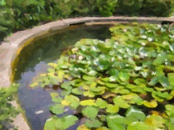 Retro look Water lily Nimphaea oil paint. Vintage looking vignetted Water lily Nimphaea in a pond oil painting