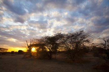 Beautiful african sunset with an endless sky