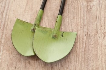 Metallic shovel for gardening on wooden background