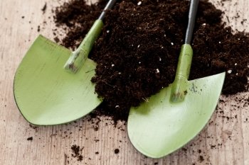Metallic shovel and soil,for gardening on wooden background
