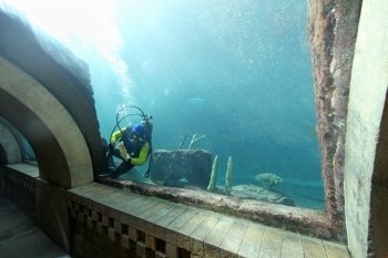 A diver swimming and cleaning a tank