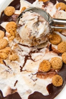 a bowl of chocolate ice cream with vanilla and biscuits