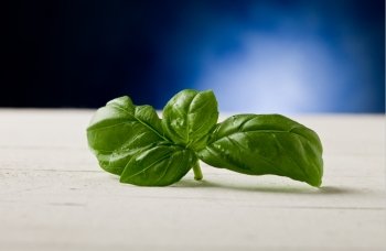 photo of delicious fresh basil leaves hightlighte by a spot light 