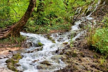 Stream in a picturesque scenery of the mountain forest