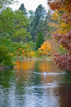 Autumn season at Kew Gardens, London