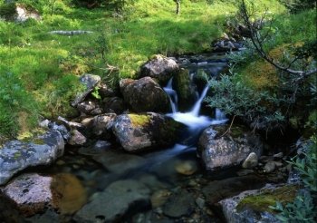 Mountain stream with rocks and green grass
