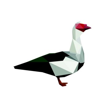 Illustration of origami muscovy duck isolated on white background