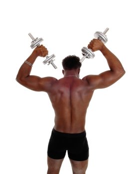 A young strong African American man standing from the back lifting uphis dumbbell’s, isolated for white background.
