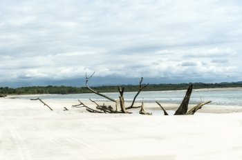 tropical beach in Ecuador after a storm