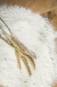 Pile of flour and wheat plants