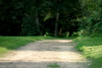 Trail in the park, shallow depth of field