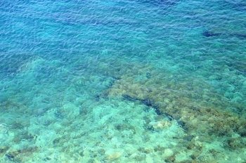 View of coral reef in crystal clear shivering water of the sea