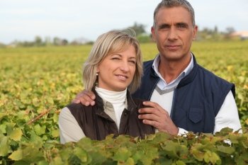 couple of viticultors amid vineyards