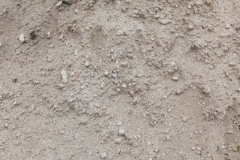 Dry soil with little stones closeup. Textured surface