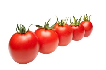 tomatoes in row. It is isolated on a white background
