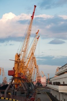 Seaport and tower cranes. The Odessa trading seaport. Ukraine