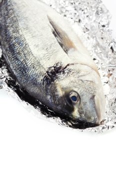 fresh dorada fish over white - food and drink