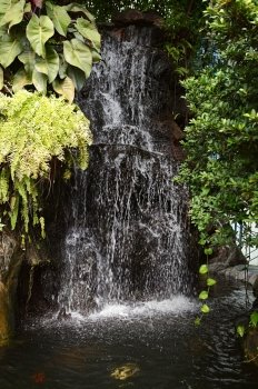 Japanese garden waterfall with pond