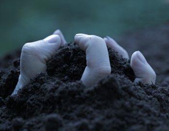 Hand emerging from the ground trough the soil