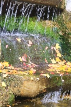 Small waterfall with abscissed yellow leaf and moss in autumn park