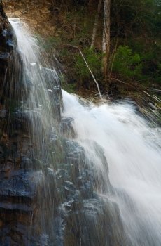 Top part of high mountain waterfall in dark wild Carpathian forest (Manjava, Ivano-Frankivsk Region,  Ukraine).