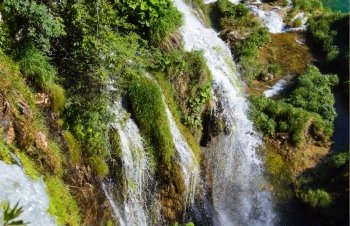 Summer waterfalls and grasses in Plitvice Lakes National Park (Croatia)