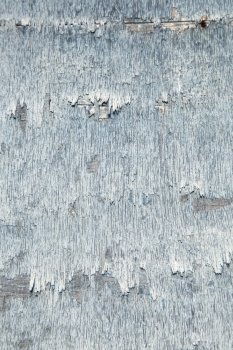 abstract background consisting of weathered board with old blue paint