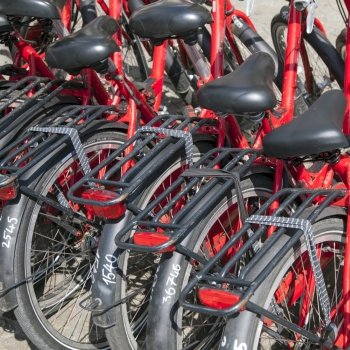 closeup of red rental bicycles in amsterdam