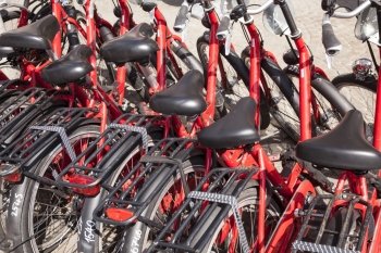 closeup of red rental bicycles in amsterdam