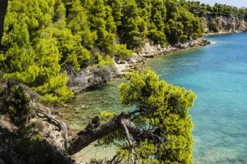 Rocky beach of alonissos at Sporades, Greece